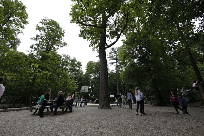 Pausenhof Wald und Bäume